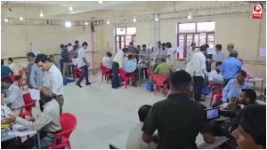 Rajasthan Nikay Chunav Results