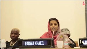 UN General Assembly