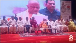 UP News