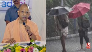 UP News 