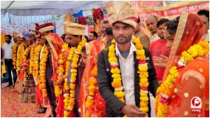 UP News