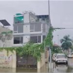 UP News