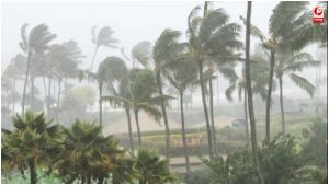Weather Alert
