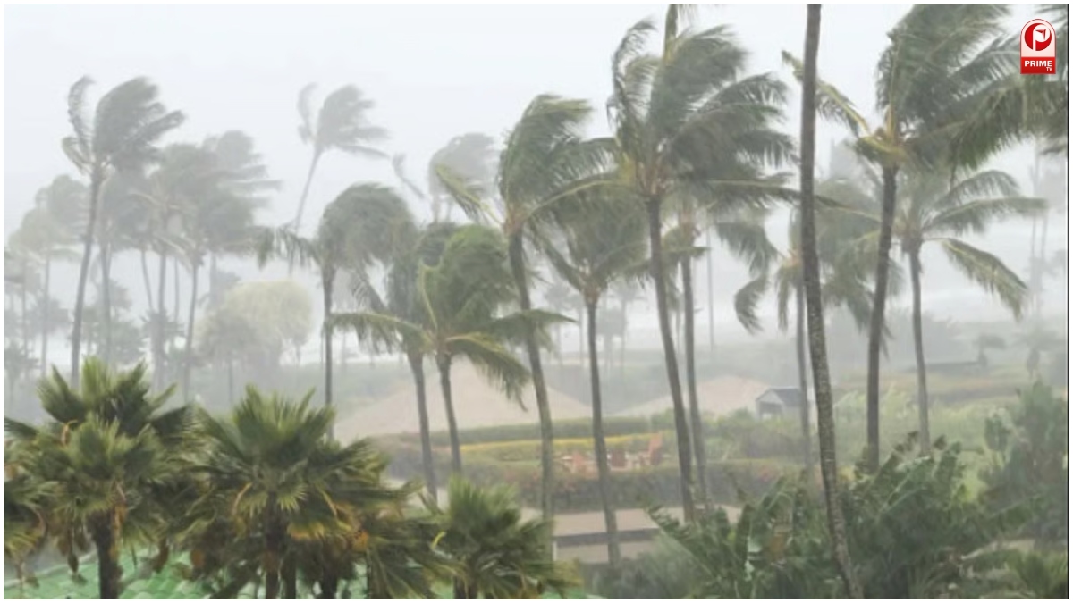Weather Alert