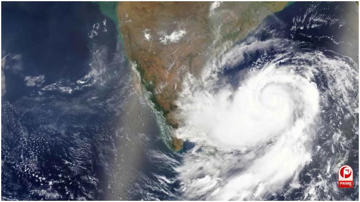 Cyclone Alert