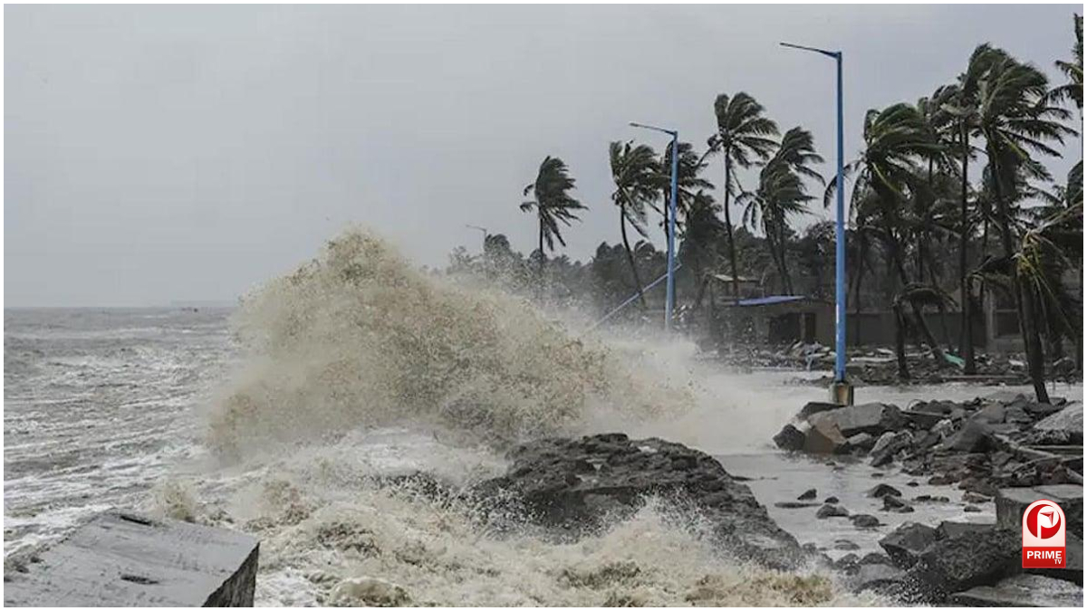 Cyclone Alert