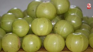 आंवला: कम मात्रा में भी मिल सकता है भरपूर पोषण