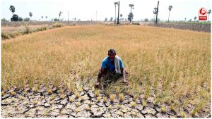 जलाशयों में घटा पानी, हाइड्रो पावर पर असर