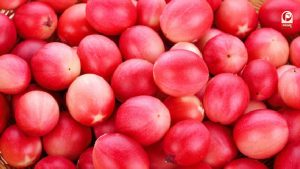 फूलों के बाद बदलता है फल का रंग