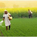 El Niño से बिगड़ा मौसम का मिजाज?