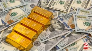 India Forex Reserves Fall
