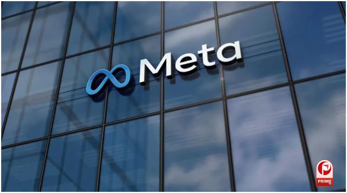 Meta Fine