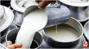 Nandini Milk Price