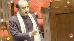 Parliamentary Standing Committees