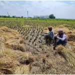 Punjab News