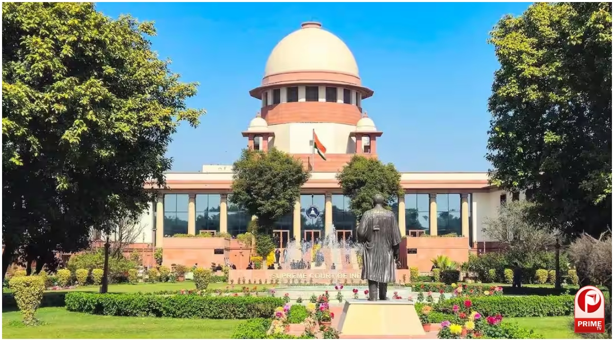 Supreme Court on Firecrackers