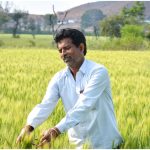 UP Fasal Bima Yojana