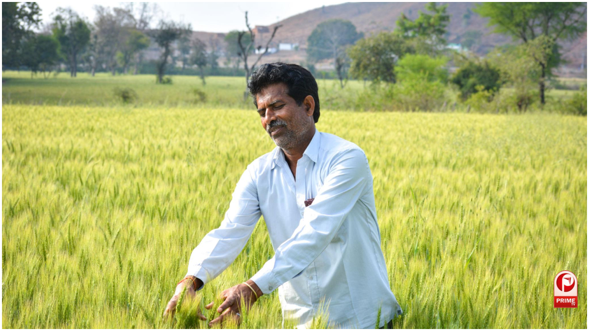 UP Fasal Bima Yojana