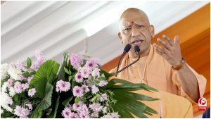 UP News