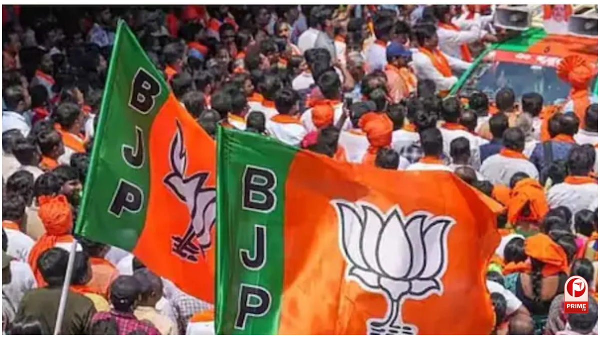 UP News