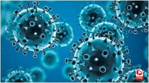 shamonda virus first human case